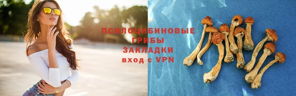 спайс Аркадак