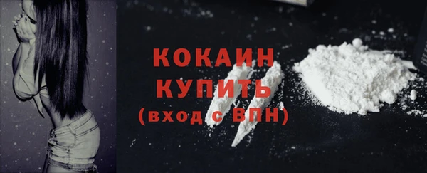 спайс Аркадак