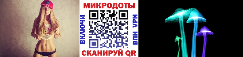Псилоцибиновые грибы Psilocybe  дарк нет какой сайт  Старица 