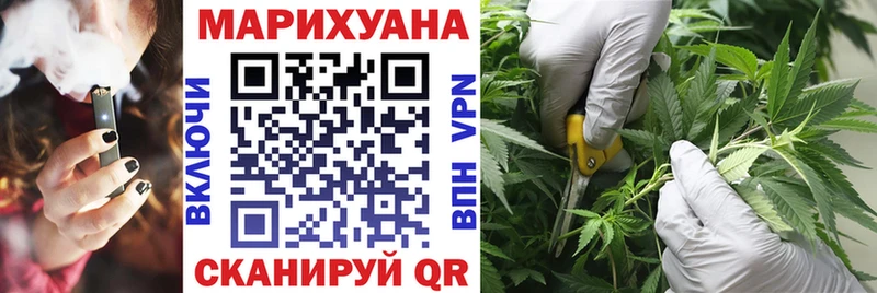 Бошки Шишки AK-47  где найти   Старица 